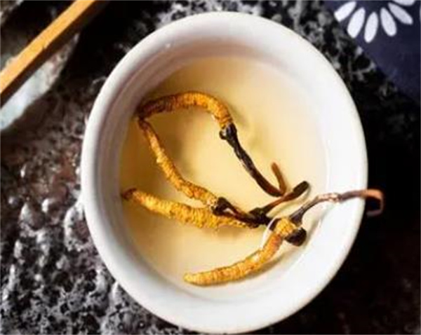 冬蟲夏草和碧螺春怎么搭配泡茶？